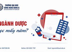 Học Đại Học Y Dược Mấy Năm