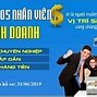 Tuyển Dụng Bán Xe Ô Tô Vinfast